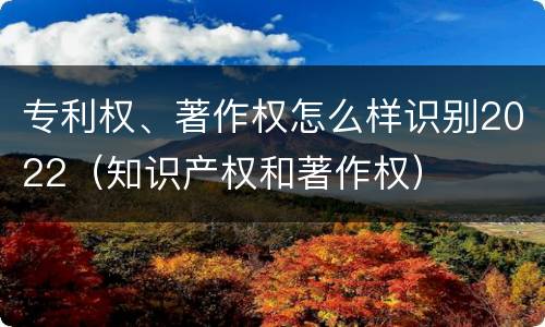 专利权、著作权怎么样识别2022（知识产权和著作权）