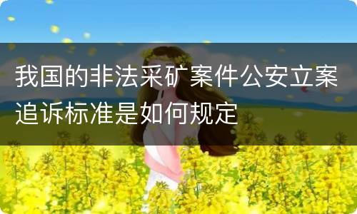 我国的非法采矿案件公安立案追诉标准是如何规定