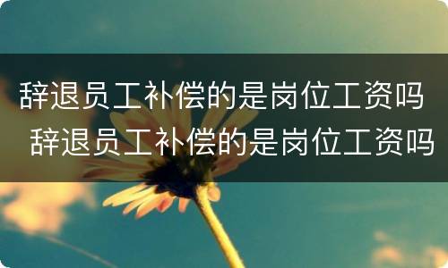 辞退员工补偿的是岗位工资吗 辞退员工补偿的是岗位工资吗合法吗