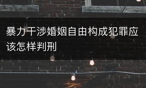 暴力干涉婚姻自由构成犯罪应该怎样判刑