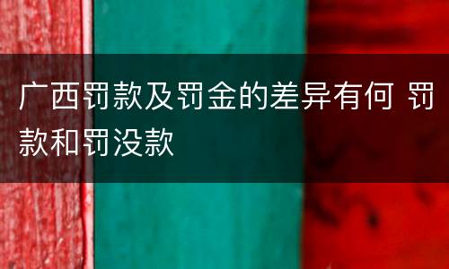 广西罚款及罚金的差异有何 罚款和罚没款