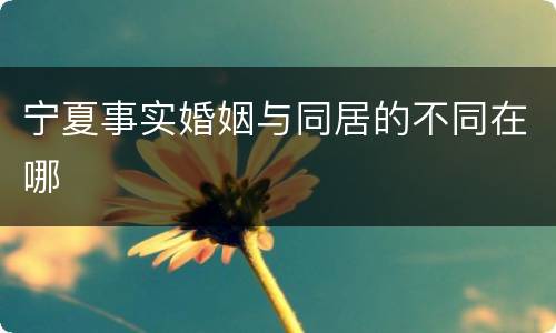 宁夏事实婚姻与同居的不同在哪