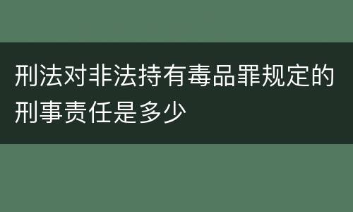 刑法对非法持有毒品罪规定的刑事责任是多少