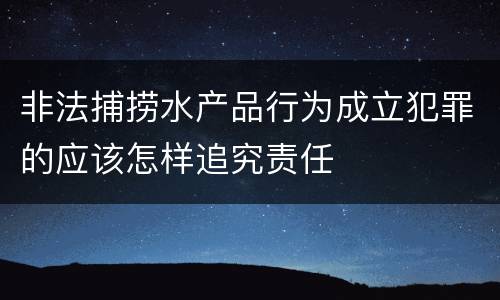 非法捕捞水产品行为成立犯罪的应该怎样追究责任