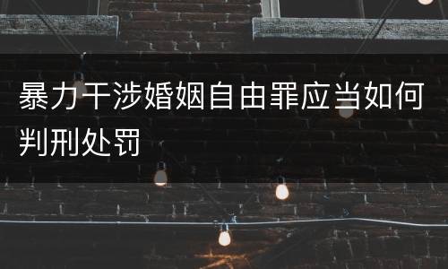 暴力干涉婚姻自由罪应当如何判刑处罚