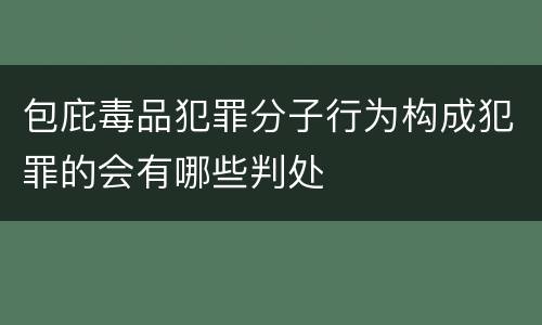 包庇毒品犯罪分子行为构成犯罪的会有哪些判处