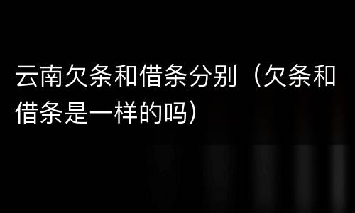 云南欠条和借条分别（欠条和借条是一样的吗）