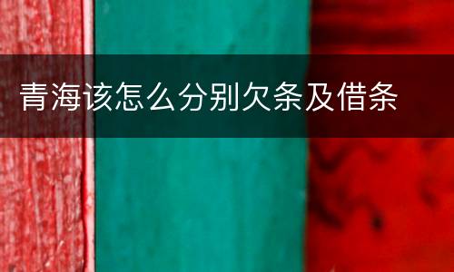 青海该怎么分别欠条及借条
