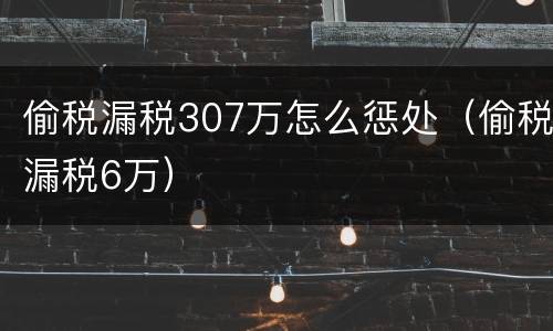 偷税漏税307万怎么惩处（偷税漏税6万）