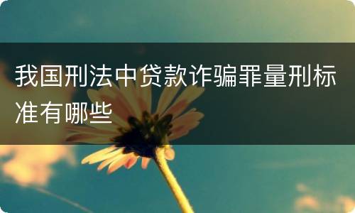 我国刑法中贷款诈骗罪量刑标准有哪些