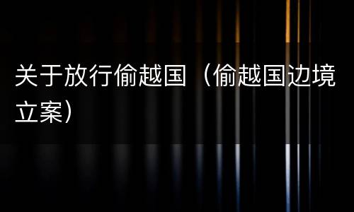 关于放行偷越国（偷越国边境立案）