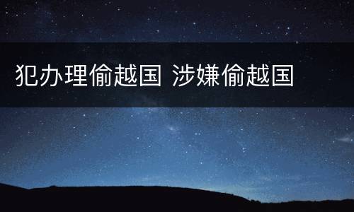 犯办理偷越国 涉嫌偷越国