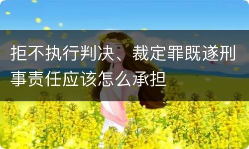 拒不执行判决、裁定罪既遂刑事责任应该怎么承担