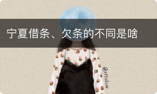 宁夏借条、欠条的不同是啥