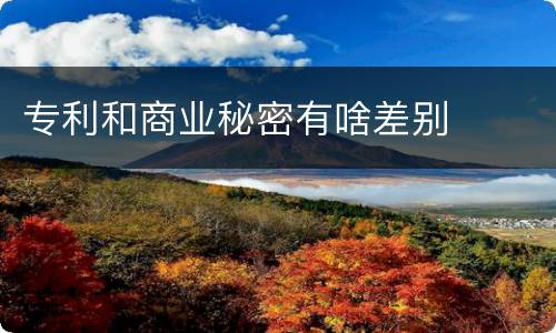 专利和商业秘密有啥差别