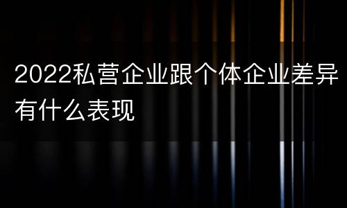 2022私营企业跟个体企业差异有什么表现