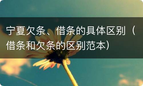 宁夏欠条、借条的具体区别（借条和欠条的区别范本）