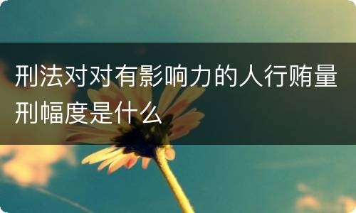 刑法对对有影响力的人行贿量刑幅度是什么