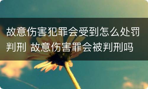 故意伤害犯罪会受到怎么处罚判刑 故意伤害罪会被判刑吗