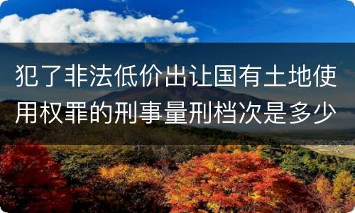 犯了非法低价出让国有土地使用权罪的刑事量刑档次是多少