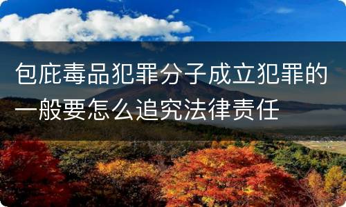包庇毒品犯罪分子成立犯罪的一般要怎么追究法律责任