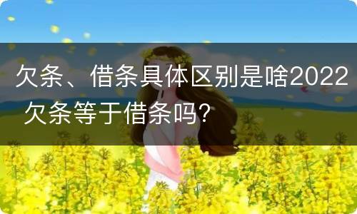 欠条、借条具体区别是啥2022 欠条等于借条吗?