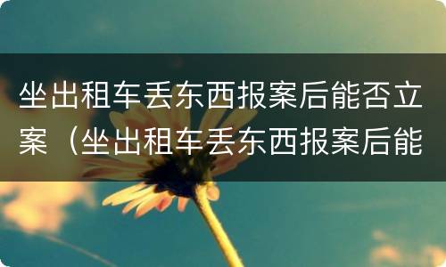 坐出租车丢东西报案后能否立案（坐出租车丢东西报案后能否立案起诉）