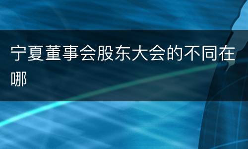 宁夏董事会股东大会的不同在哪