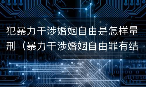 犯暴力干涉婚姻自由是怎样量刑（暴力干涉婚姻自由罪有结果加重犯吗）