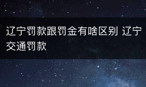 辽宁罚款跟罚金有啥区别 辽宁交通罚款
