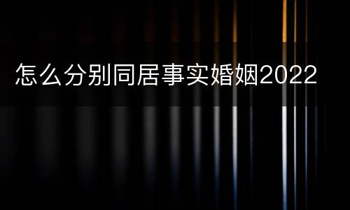 怎么分别同居事实婚姻2022