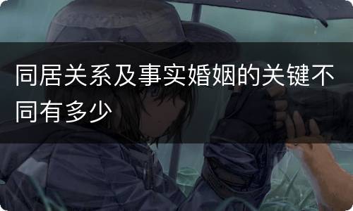 同居关系及事实婚姻的关键不同有多少