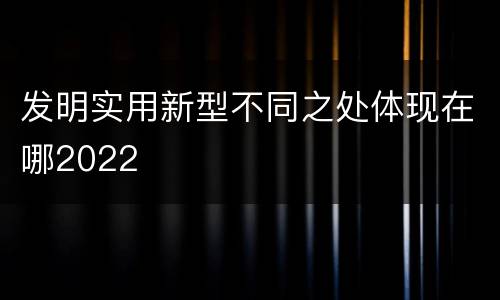 发明实用新型不同之处体现在哪2022