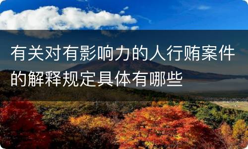 有关对有影响力的人行贿案件的解释规定具体有哪些