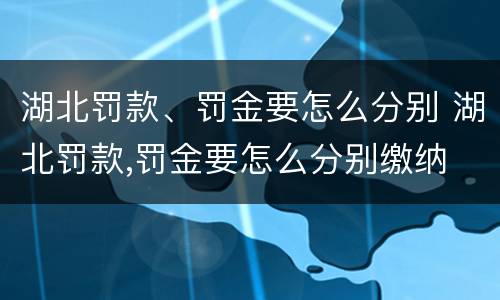 湖北罚款、罚金要怎么分别 湖北罚款,罚金要怎么分别缴纳