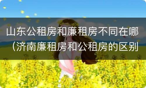 山东公租房和廉租房不同在哪（济南廉租房和公租房的区别）