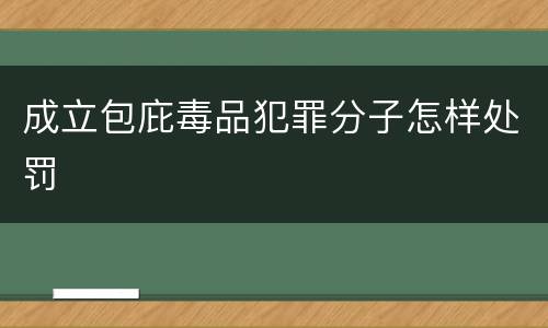 成立包庇毒品犯罪分子怎样处罚