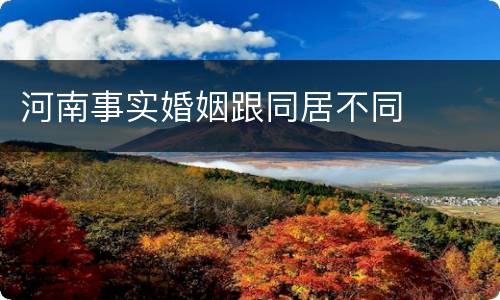 河南事实婚姻跟同居不同