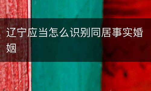 辽宁应当怎么识别同居事实婚姻