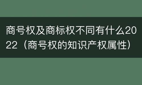 商号权及商标权不同有什么2022（商号权的知识产权属性）