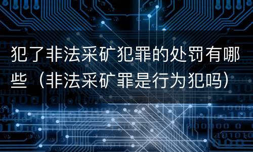 犯了非法采矿犯罪的处罚有哪些（非法采矿罪是行为犯吗）