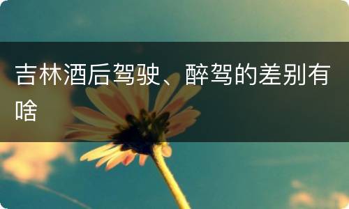 吉林酒后驾驶、醉驾的差别有啥