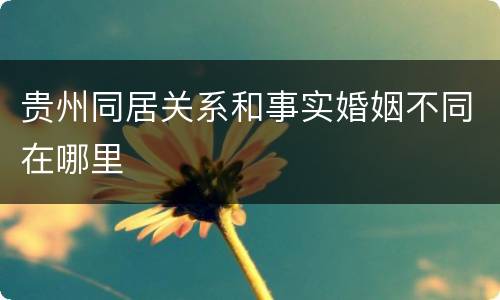 贵州同居关系和事实婚姻不同在哪里