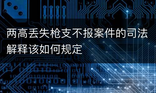 两高丢失枪支不报案件的司法解释该如何规定