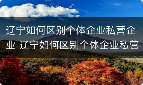 辽宁如何区别个体企业私营企业 辽宁如何区别个体企业私营企业和国企