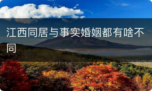 江西同居与事实婚姻都有啥不同