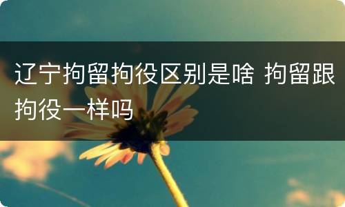 辽宁拘留拘役区别是啥 拘留跟拘役一样吗