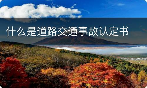 什么是道路交通事故认定书