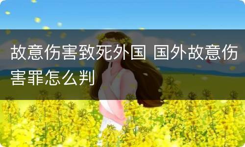 故意伤害致死外国 国外故意伤害罪怎么判