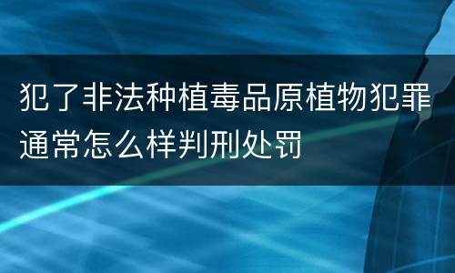 犯了非法种植毒品原植物犯罪通常怎么样判刑处罚